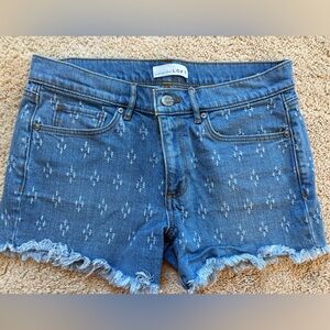 NWOT! LOFT Blue Jean Shorts